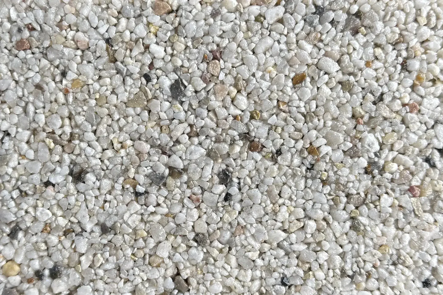 Alaskan Tundra