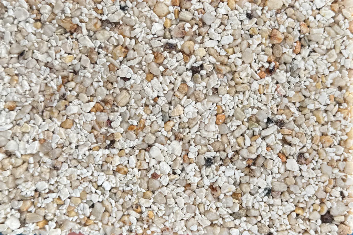 Bondi Breeze